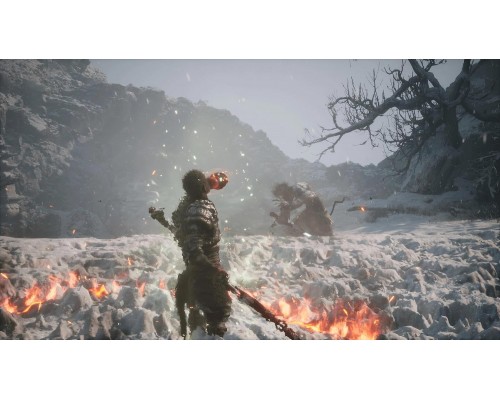 Black Myth: Wukong (PPSA 23226) [PS5 Русские субтитры]