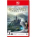 NS 2 Hogwarts Legacy
