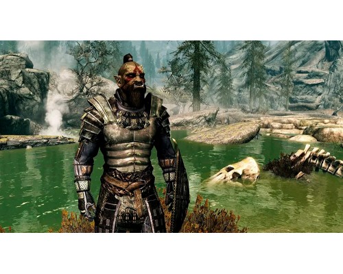 Игра Elder Scrolls V Skyrim (Nintendo Switch) Игра Elder Scrolls V Skyrim (Nintendo Switch)