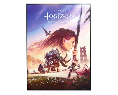 Картина на стену Horizon Forbided West 60x80 см Картина на стену Horizon Forbided West 60x80 см