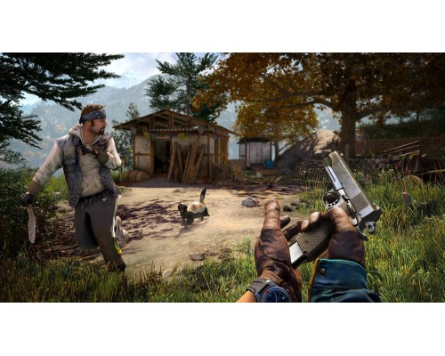 Far Cry 4 (CUSA 00462) [PS4 Русская версия Б.У]