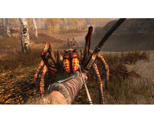 NS Elder Scrolls 5 (V): Skyrim NS Elder Scrolls 5 (V): Skyrim